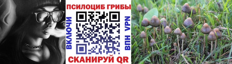 купить наркотики сайты Апатиты Галлюциногенные грибы ЛСД