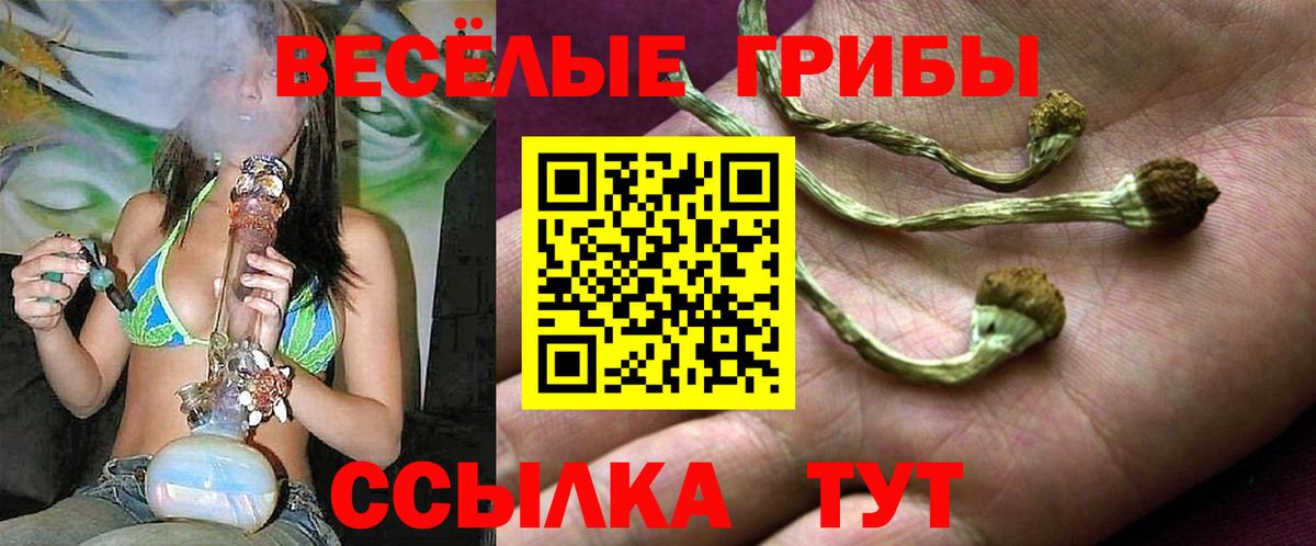 Псилоцибиновые грибы MAGIC MUSHROOMS Апатиты