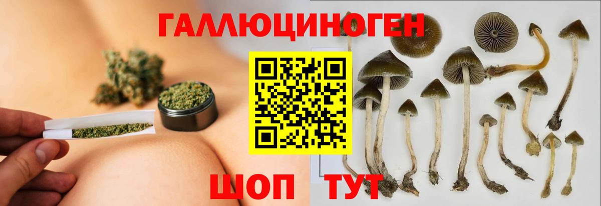 Апатиты  Галлюциногенные грибы Psilocybe  купить закладку  Вход с VPN 